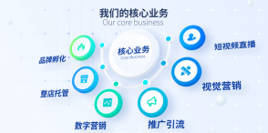 技術升級，創新服務，火蝠電商全面提升服務品質